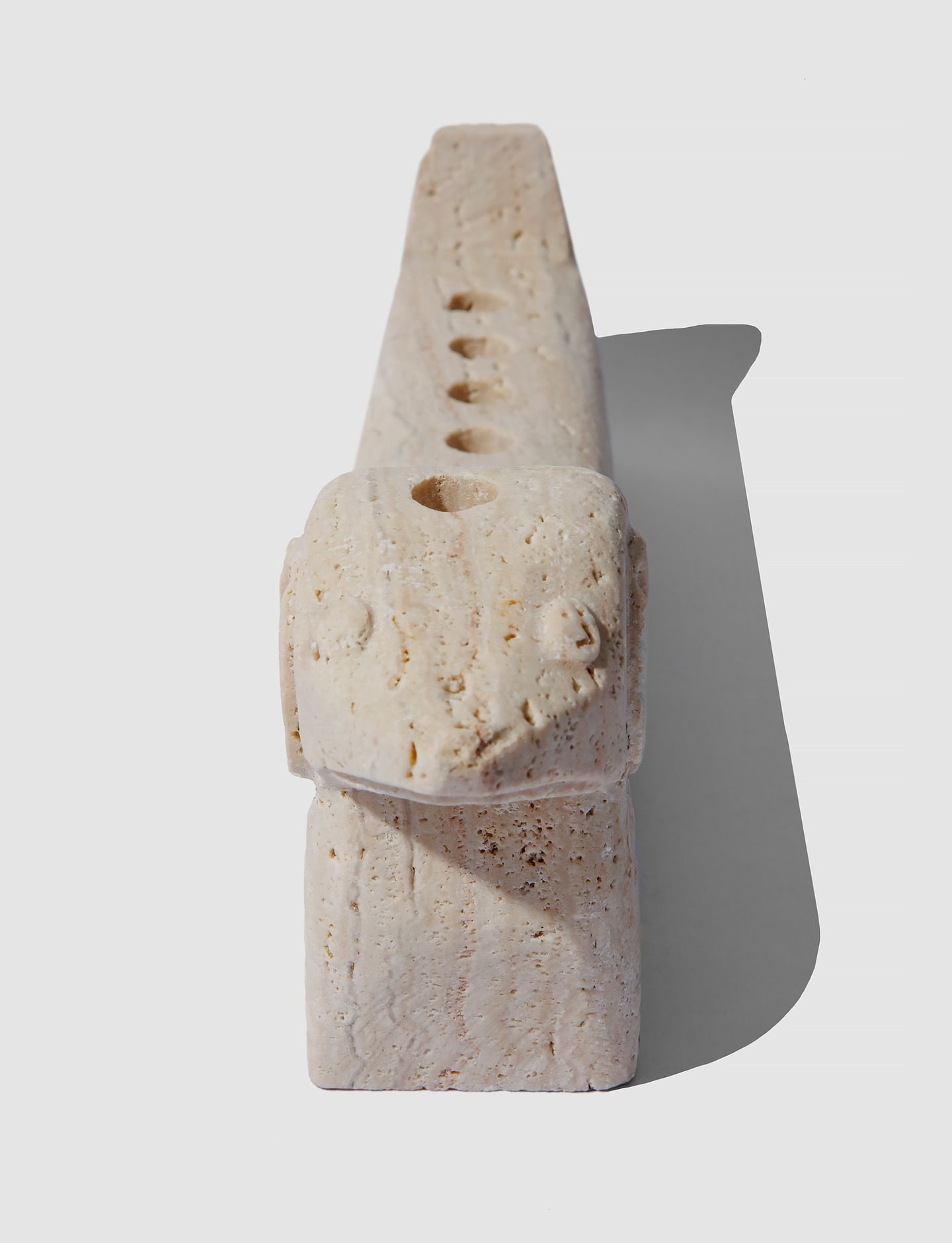 مجسمه و جاشمعی سگ