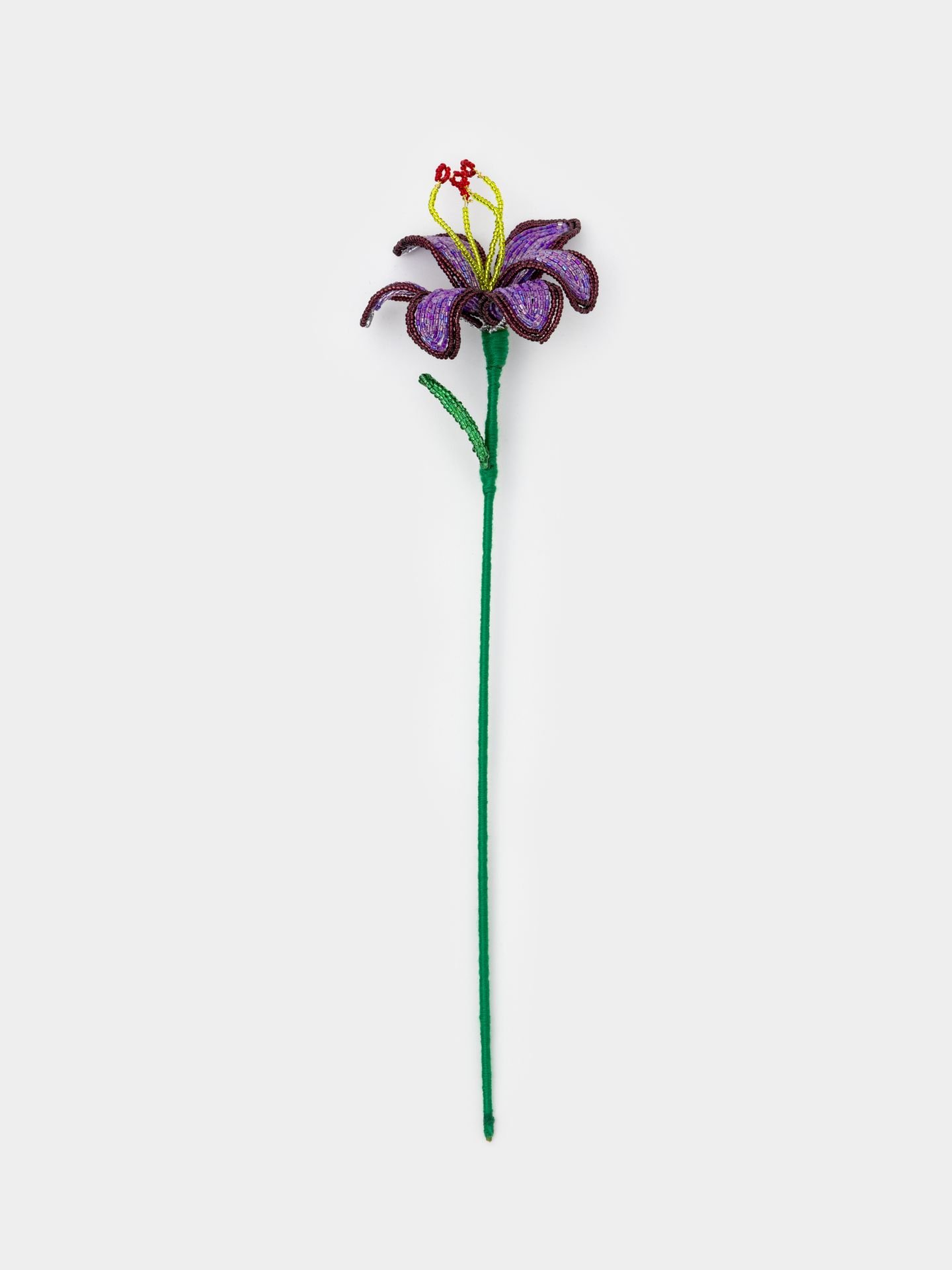 گل منجوقی لیلی