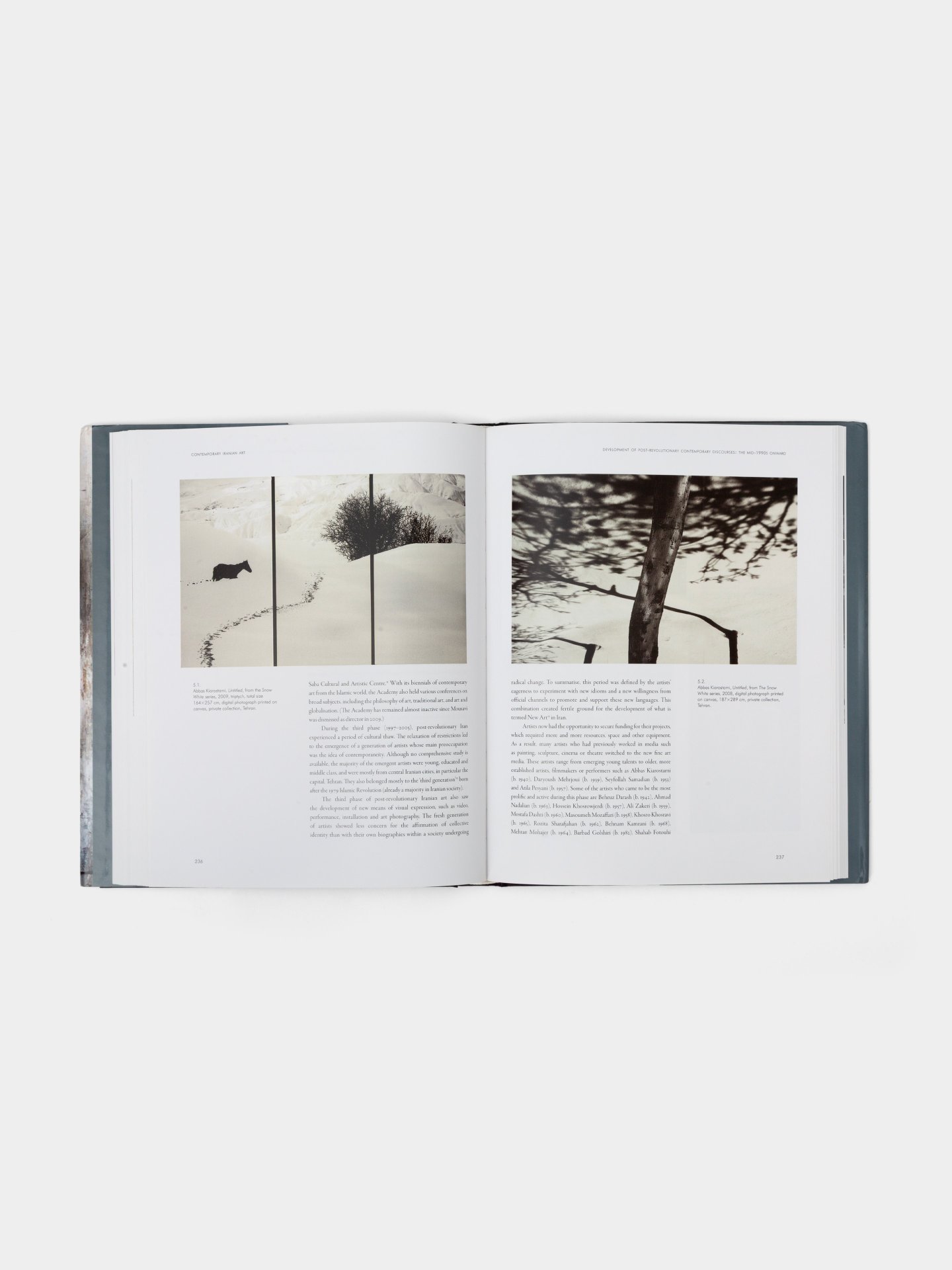 کتاب (New Edition) Contemporary  iranian art: new perspective