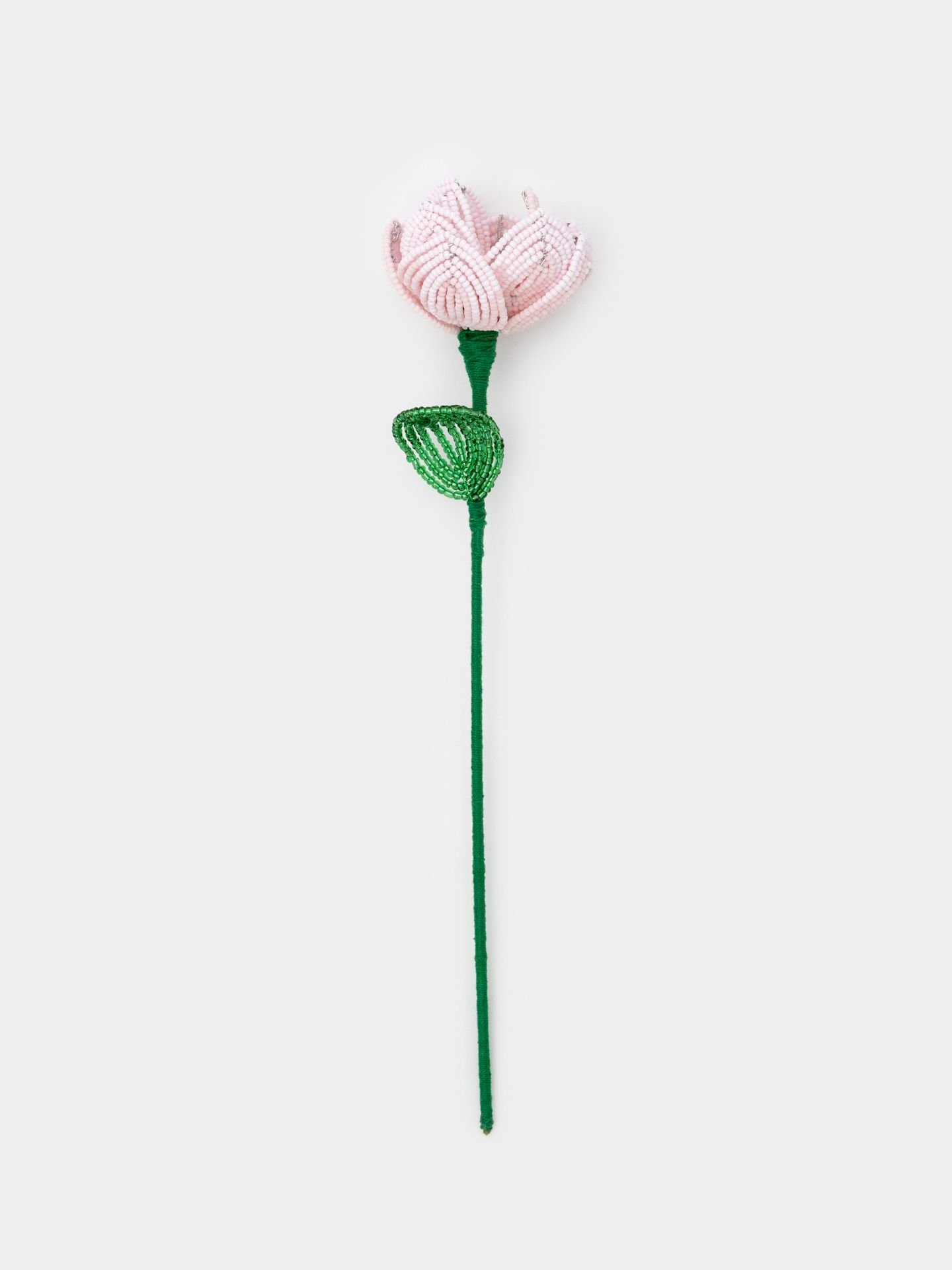 گل منجوقی پیونی
