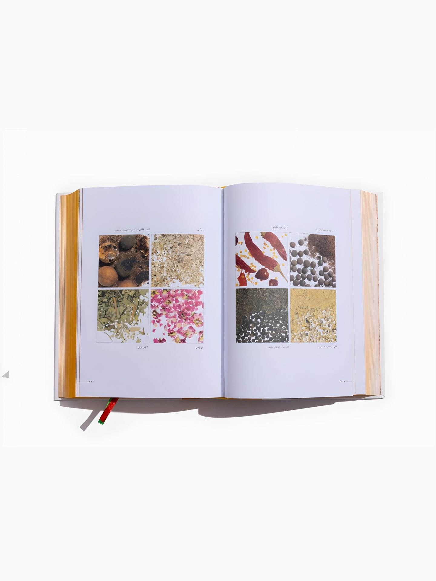 کتاب مستطاب آشپزی از سیر تا پیاز