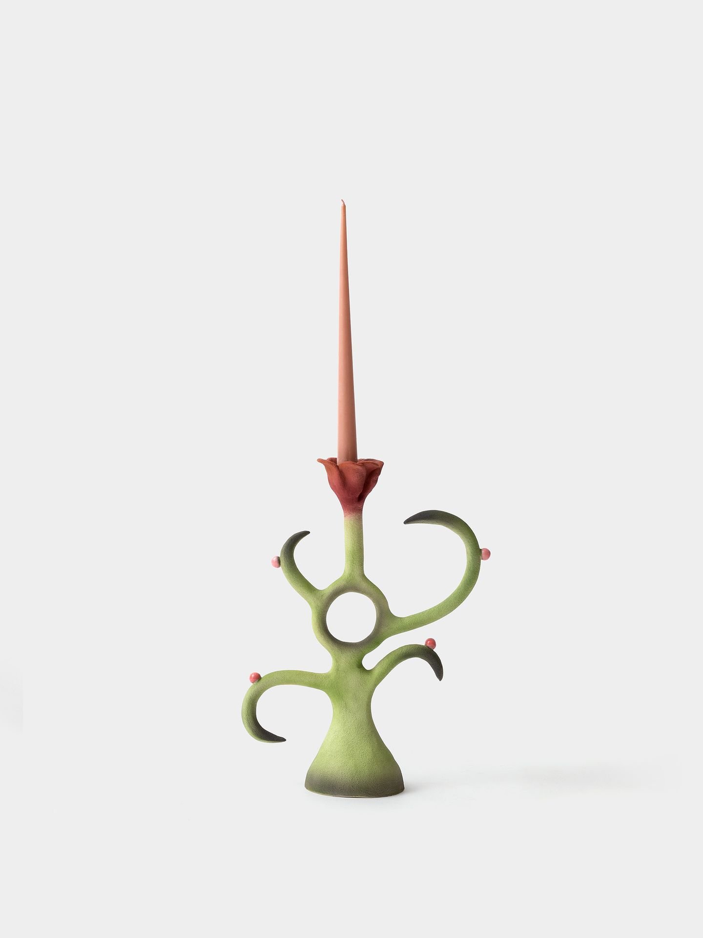 جاشمعی گل نازلی 01